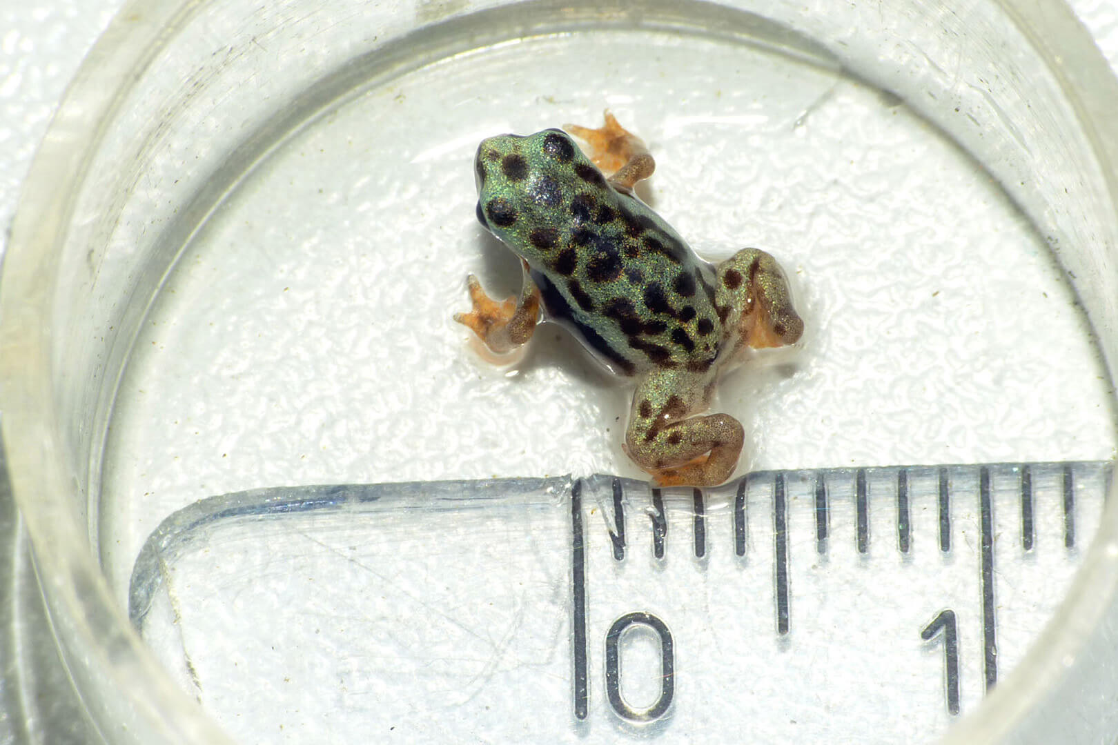 Halbjahresbilanz 2023