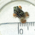 Halbjahresbilanz 2023