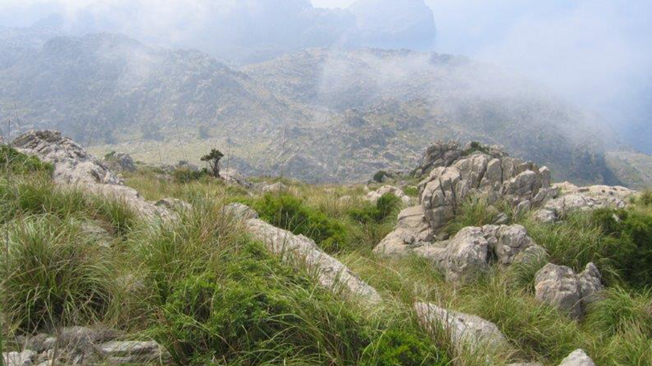 Rocky area with green meadows