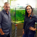 Ein Mann und eine Frau stehen vor einem Aquarium. (Schönbrunn)