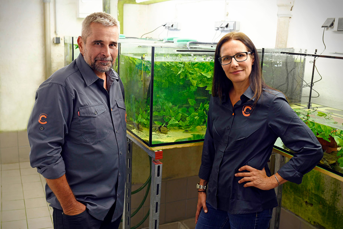 Ein Mann und eine Frau stehen vor einem Aquarium. (Schönbrunn)