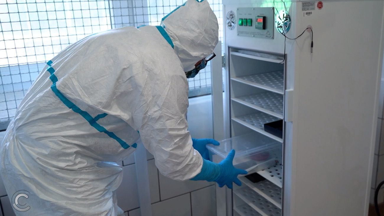 Das Bild zeigt eine Wärmekammer zum Bekämpfe von Bsal bei Feuersalamandern.