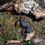 Halbjahresbilanz 1 2020