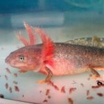 Halbjahresbericht 1 2021