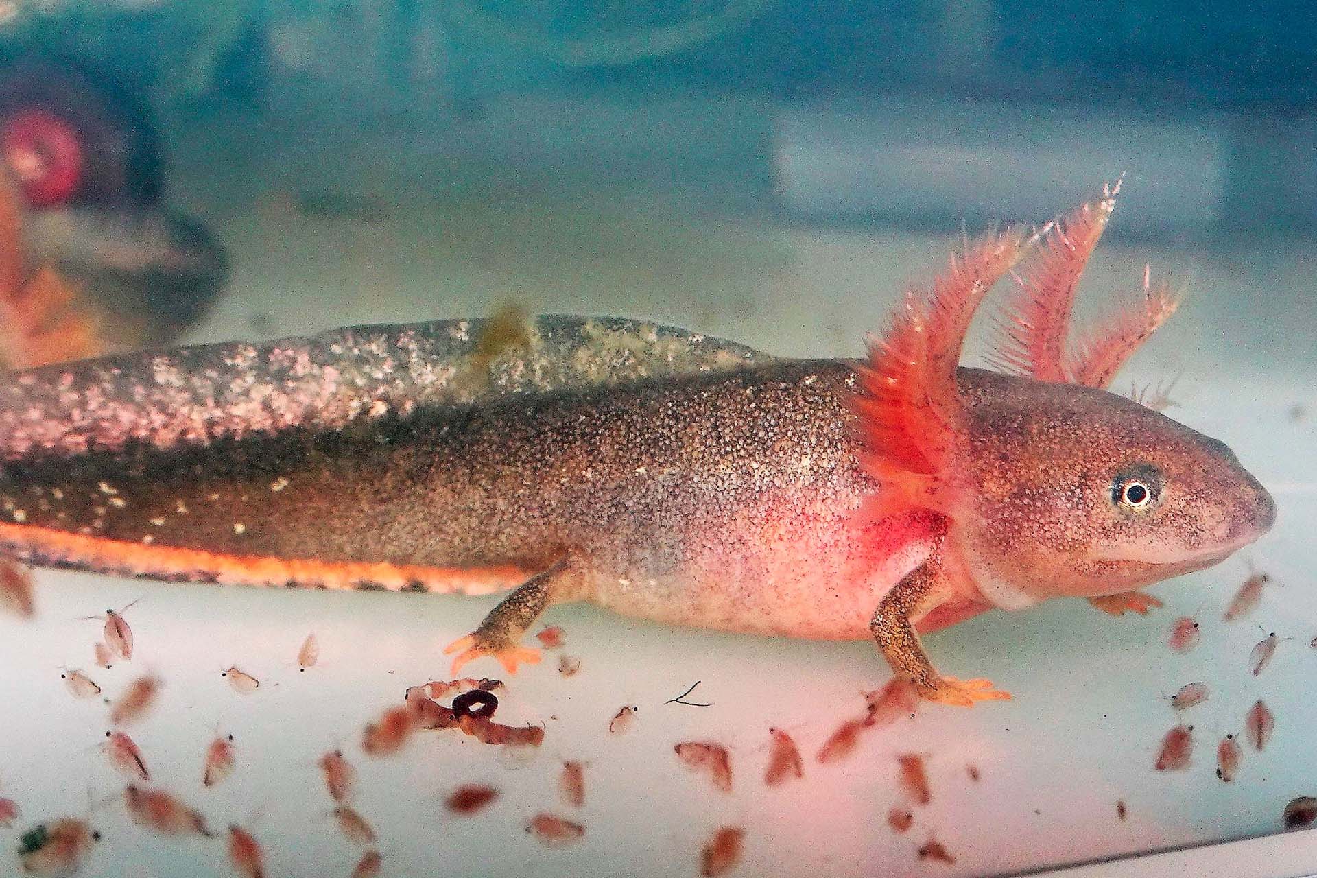 Halbjahresbericht 1 2021