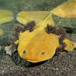 Halbjahresbilanz 1 2022