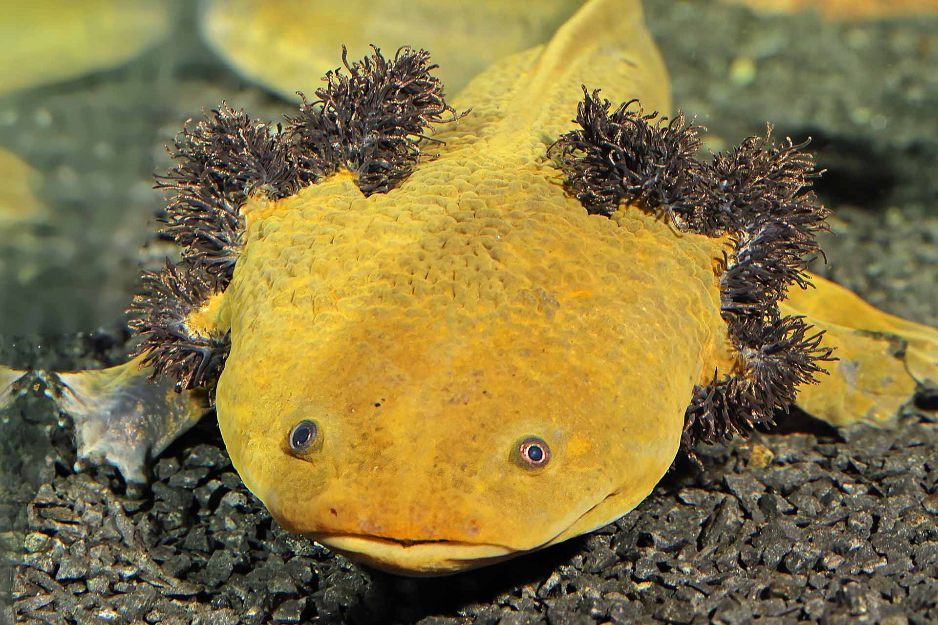 Halbjahresbilanz 1 2022