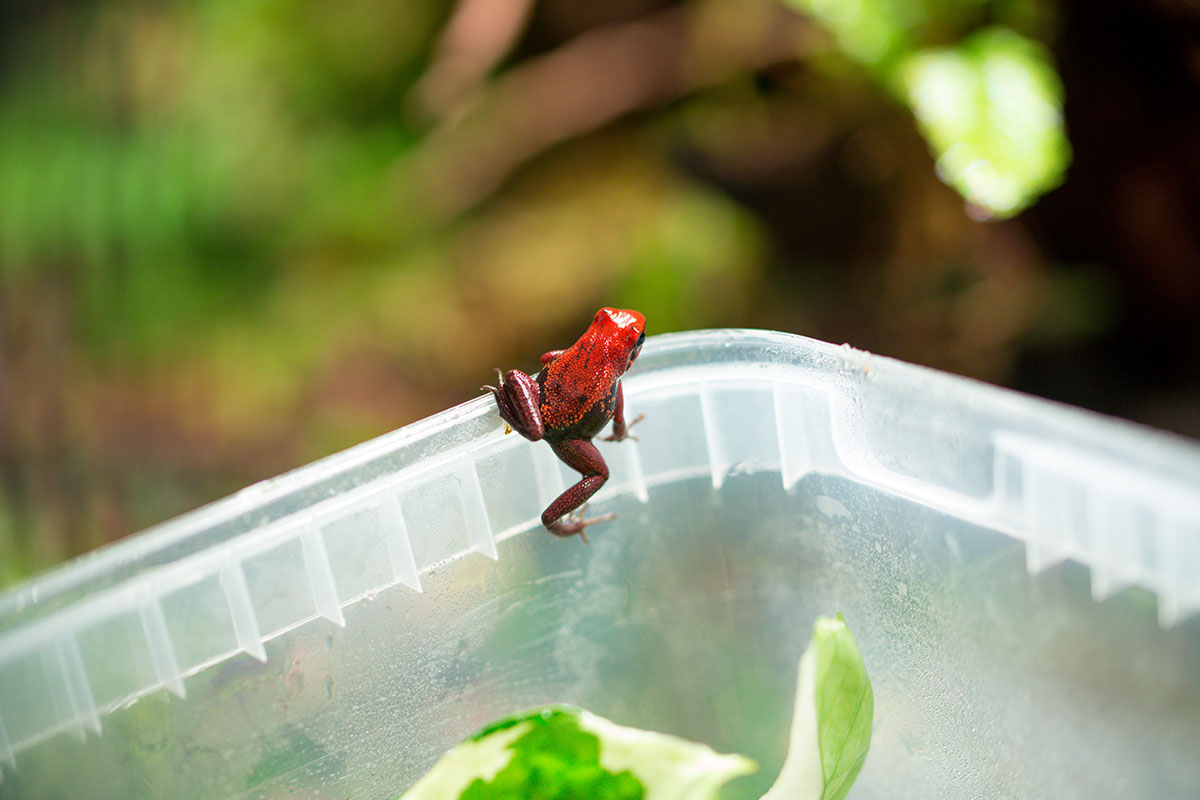 Halbjahresbilanz 1 2023