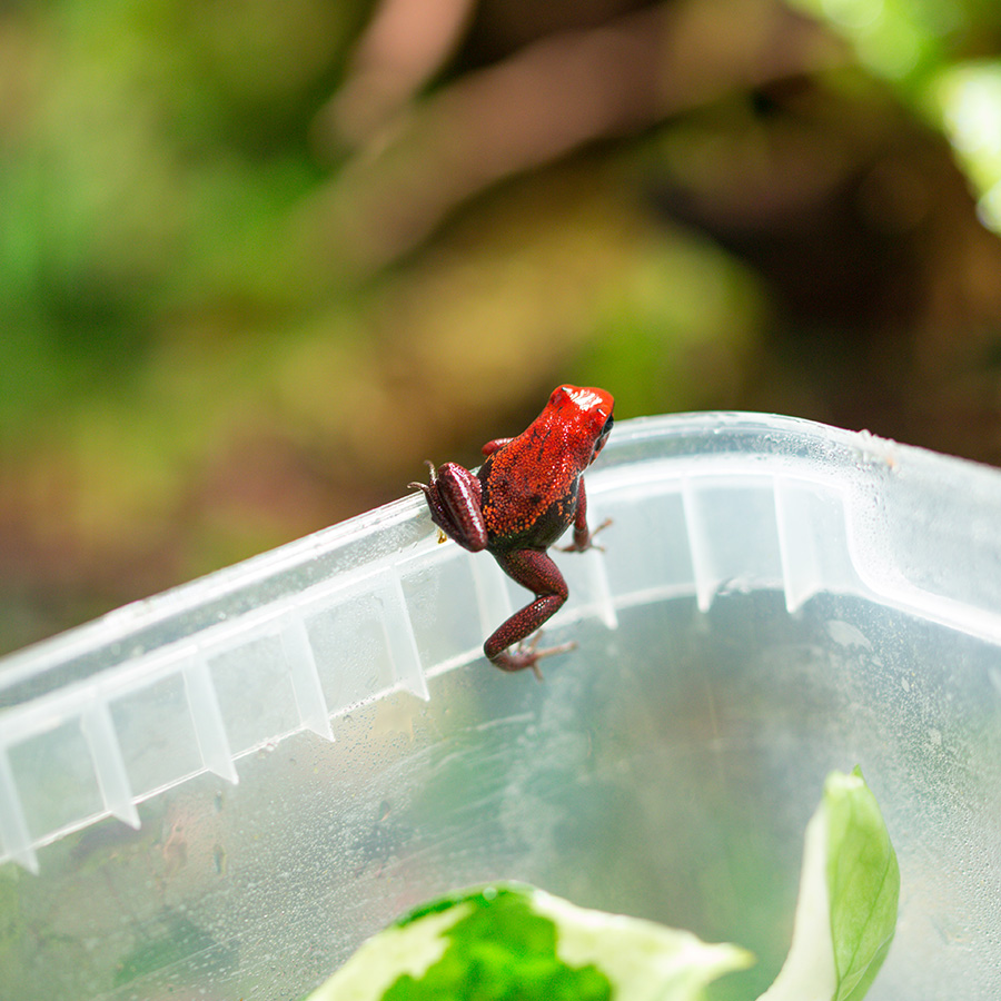 Halbjahresbilanz 1 2023