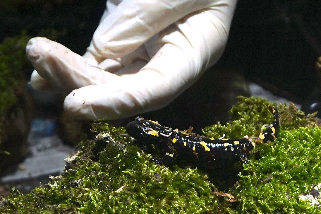 Halbjahresbilanz 2 2019