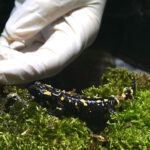 Halbjahresbilanz 2 2019