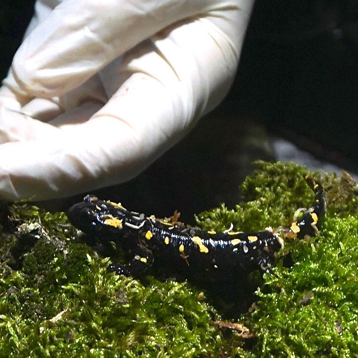 Half-year report 2 2019