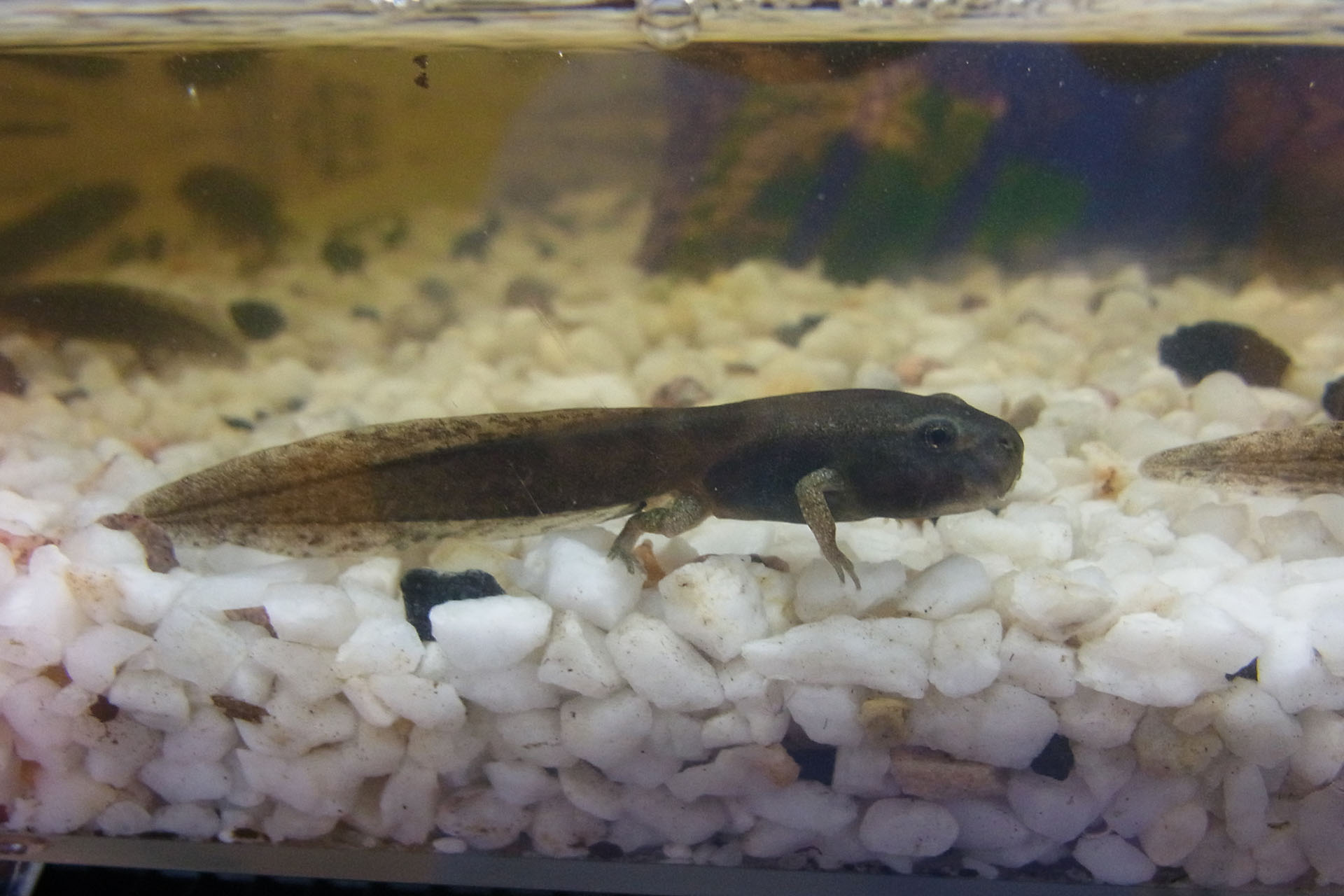 Halbjahresbilanz 2 2020