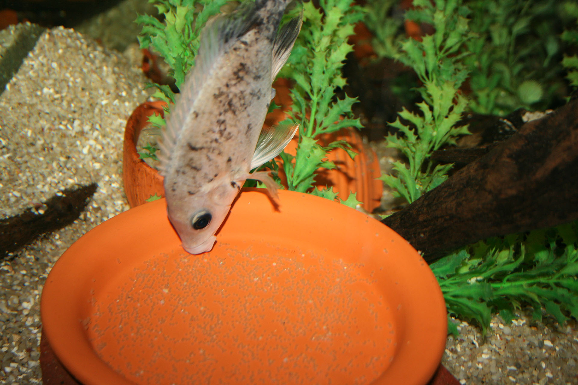 Halbjahresbilanz 2 2021