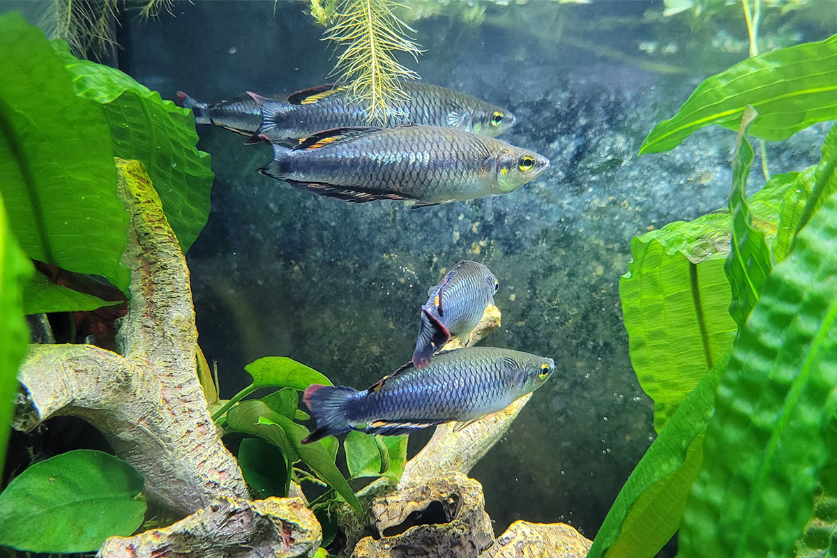 Halbjahresbilanz 2 2022