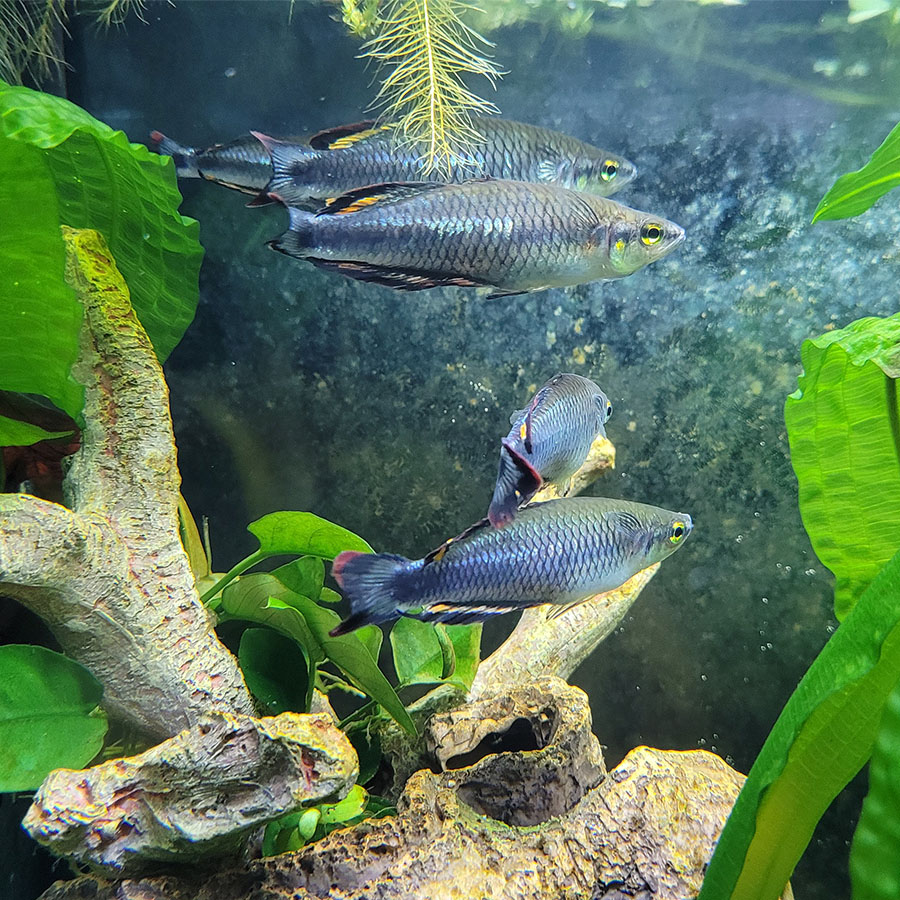 Halbjahresbilanz 2 2022