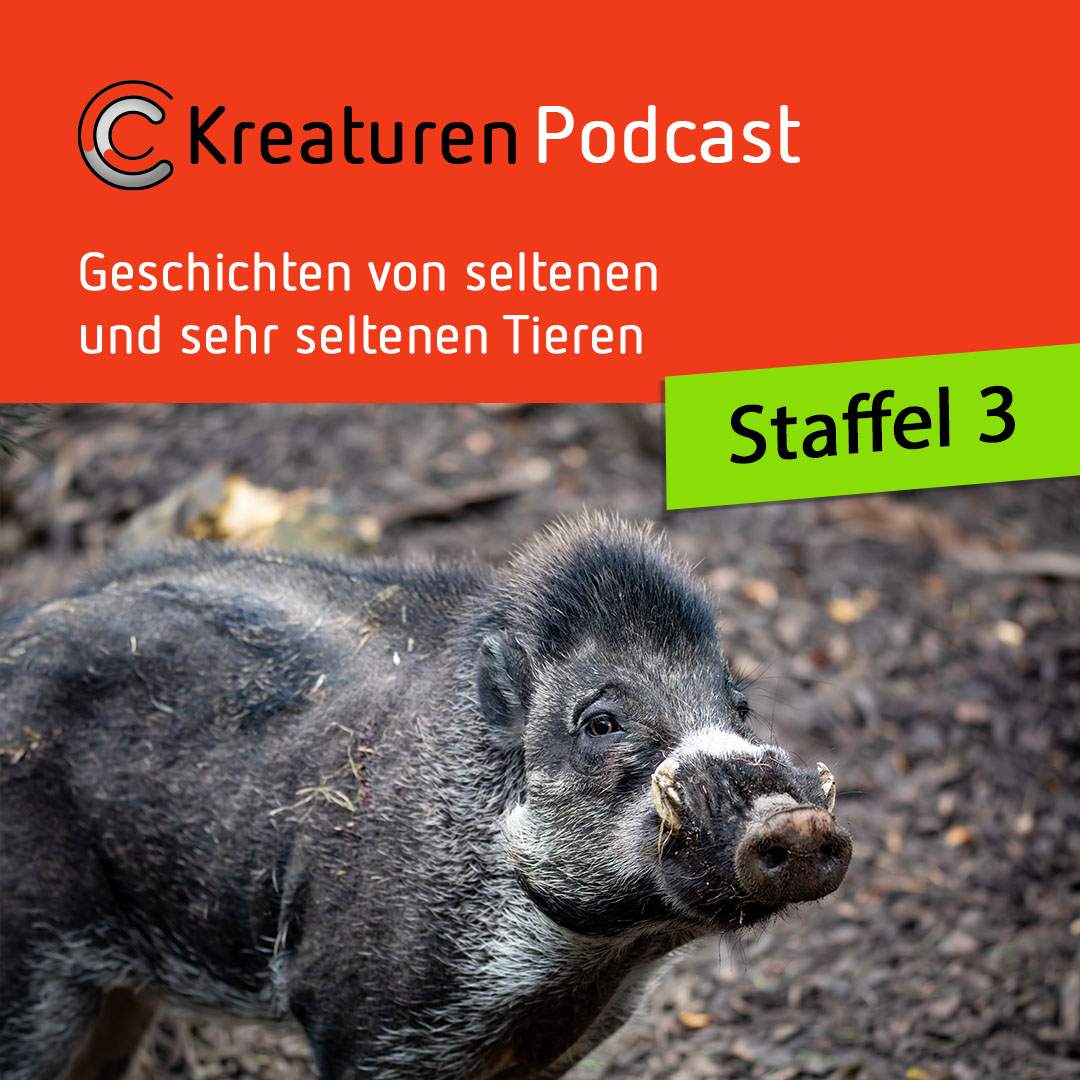 Kreaturen-Podcast