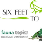 Futter für die Fische