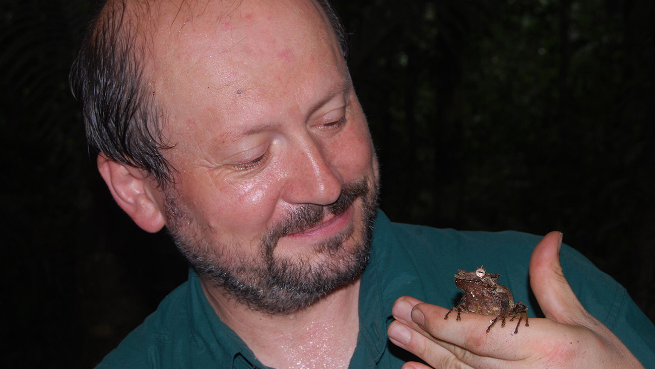 Saving a unique specimen Demonic Poison Frog