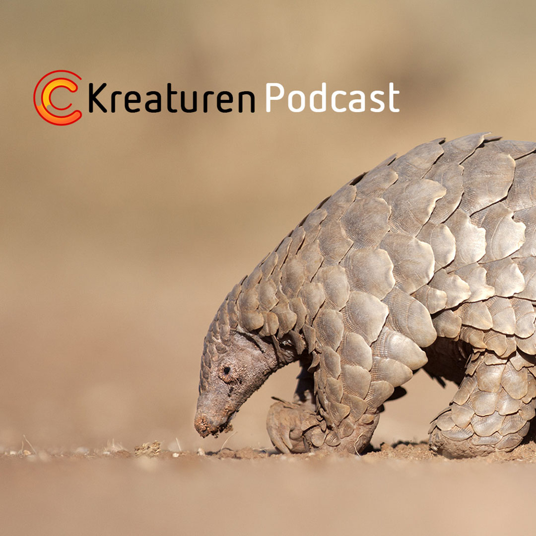 Kreaturen Podcast