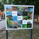 Bestiarium im Zoo Schwerin